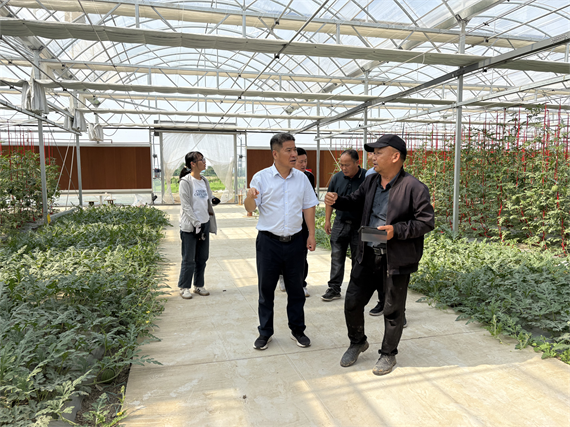 市农科院赴省农科院凌家湖综合试验场 “取经”温室建设