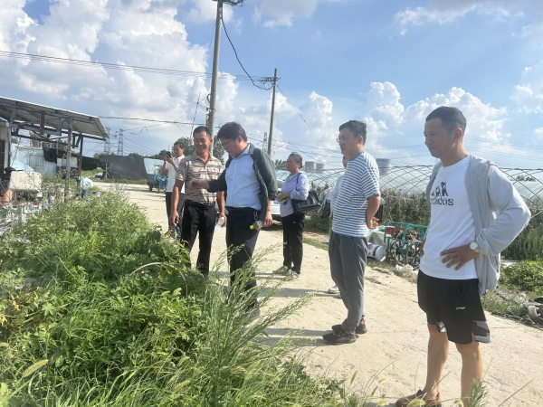 省农科院专家团队赴潘集区平圩镇李桥村开展科技成果转化项目前期调研2