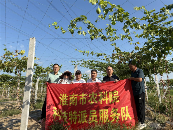 淮南市农科院迅速响应马庙村诉求开展瓜蒌紧急技术指导