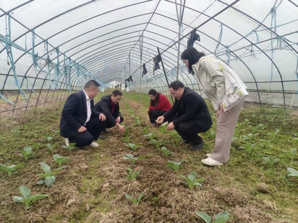 市农科院科技服务护航秋冬蔬菜生产2