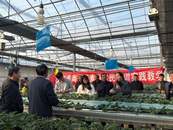 2025年淮南市高素质农民培训－水果高产高效栽培技术培训班顺利开班2