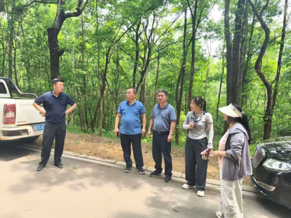 市农科院赴上窑林场开展林下食用菌种植考察调研