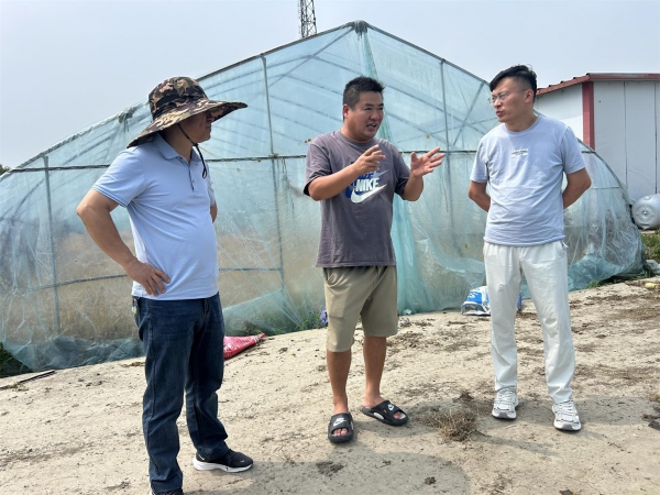 市农科院院长带队赴凤台、毛集加快推进酥瓜样板点建设及西瓜新品种观摩筹备事宜